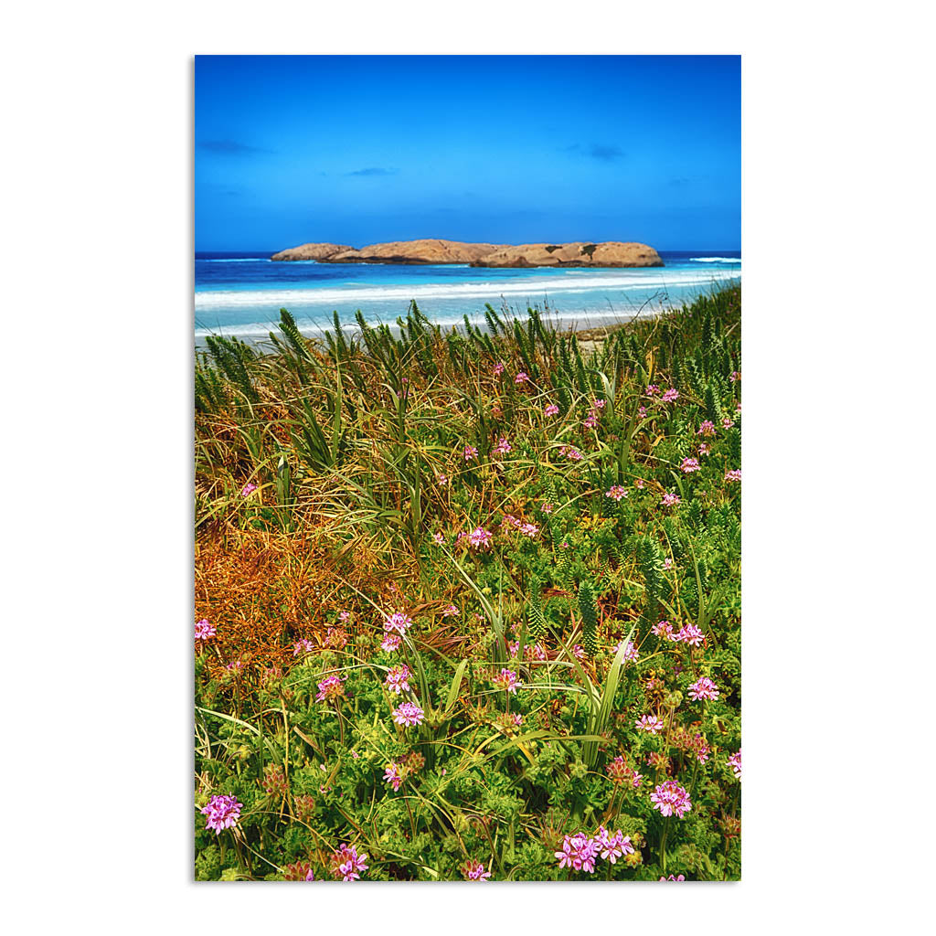 Twilight Beach Wildflowers