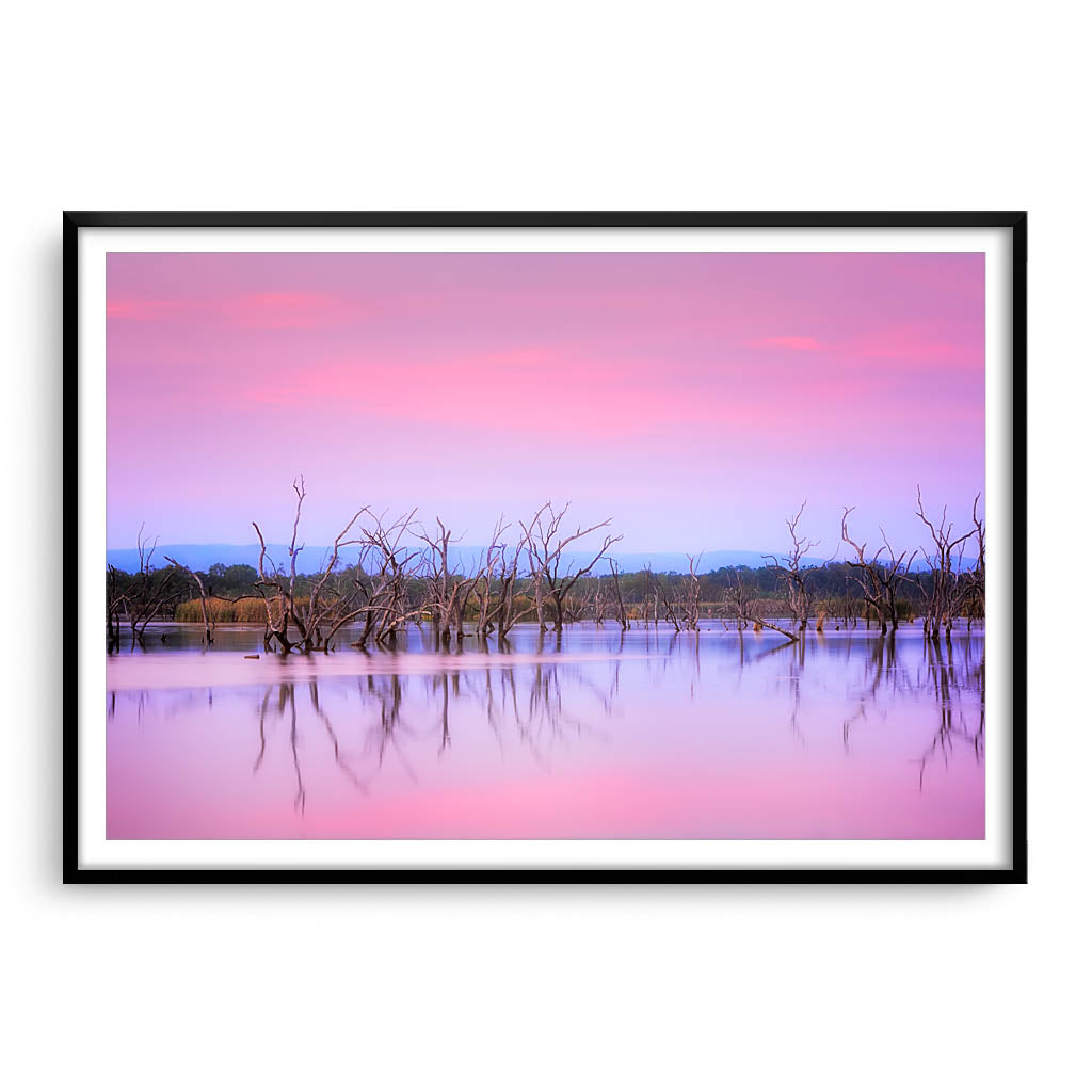 Sunrise over Lily Creek Lagoon in Kununurra, Western Australia framed in black