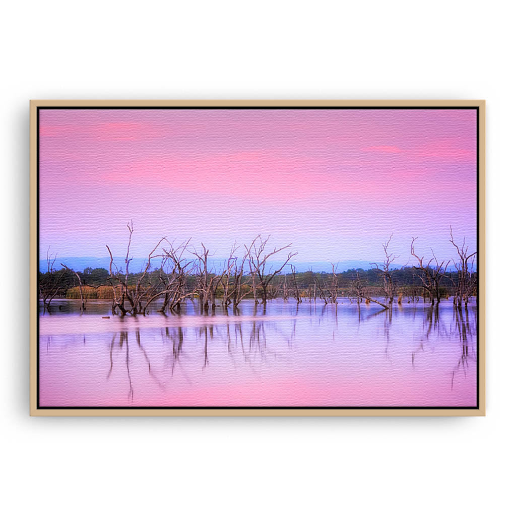 Sunrise over Lily Creek Lagoon in Kununurra, Western Australia framed canvas in raw oak