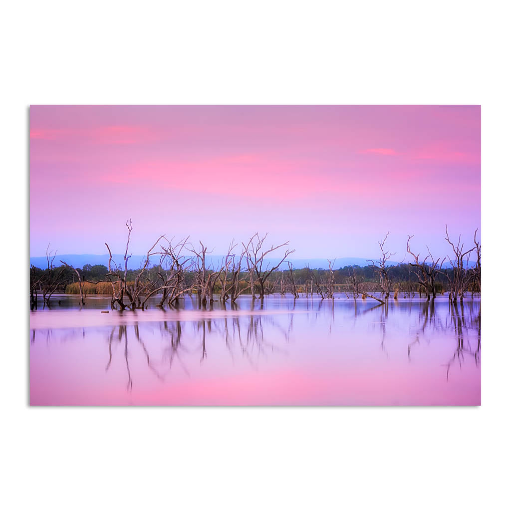 Sunrise over Lily Creek Lagoon in Kununurra, Western Australia