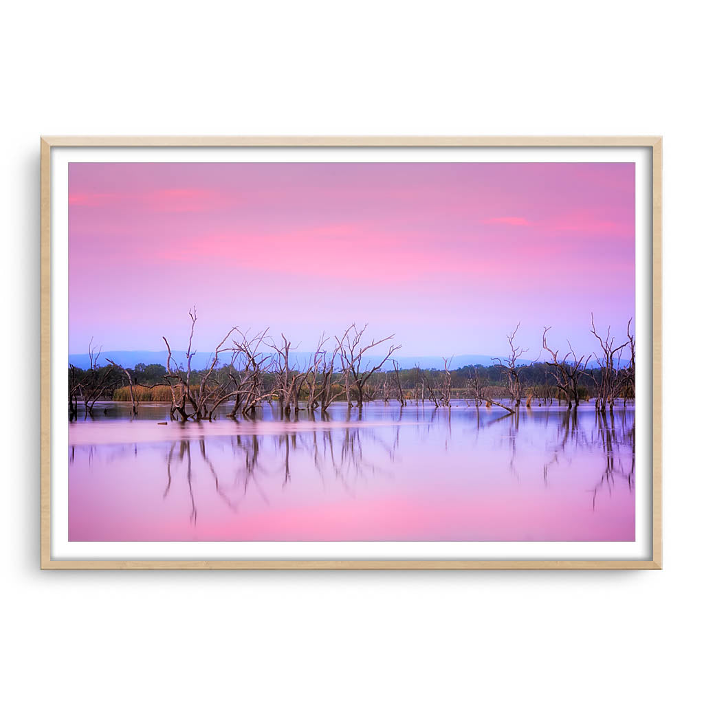 Sunrise over Lily Creek Lagoon in Kununurra, Western Australia framed in raw oak