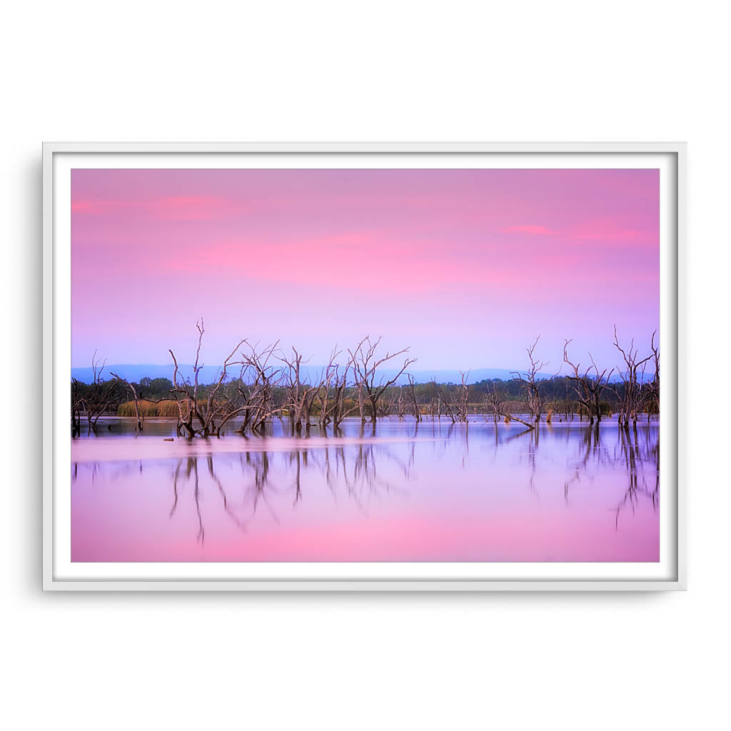 Sunrise over Lily Creek Lagoon in Kununurra, Western Australia framed in white