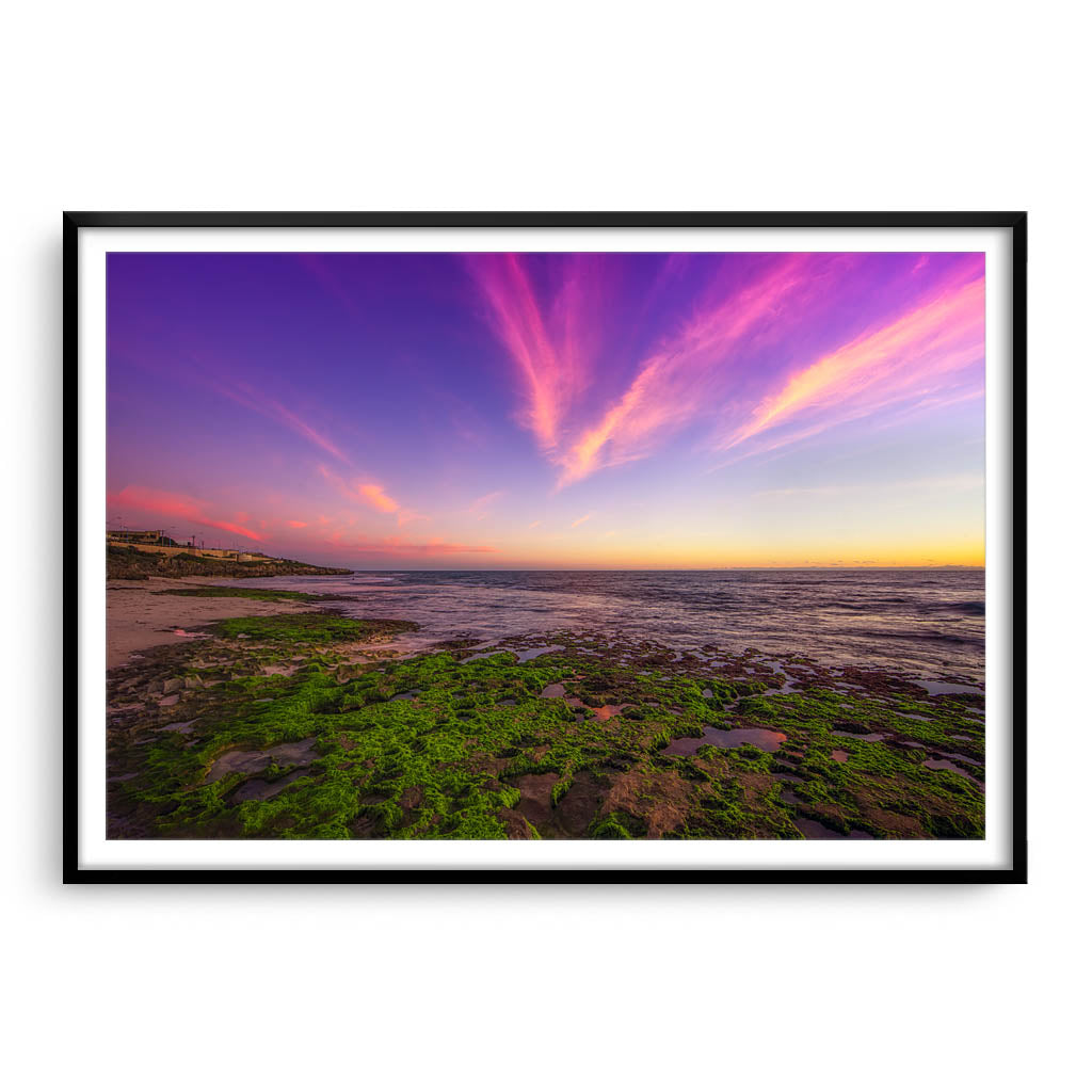 Bright green seaweed growing on the rock in Western Australia framed in black