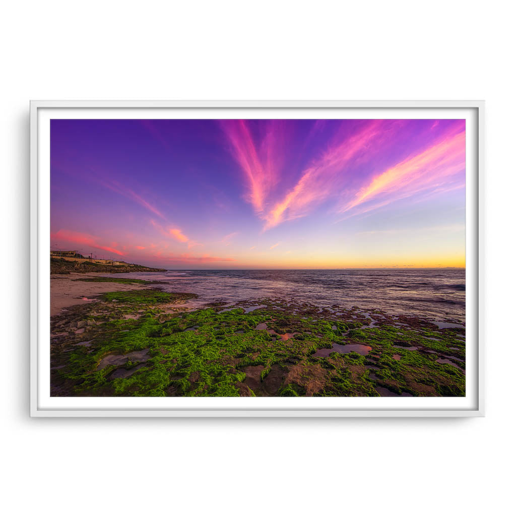 Bright green seaweed growing on the rock in Western Australia framed in white