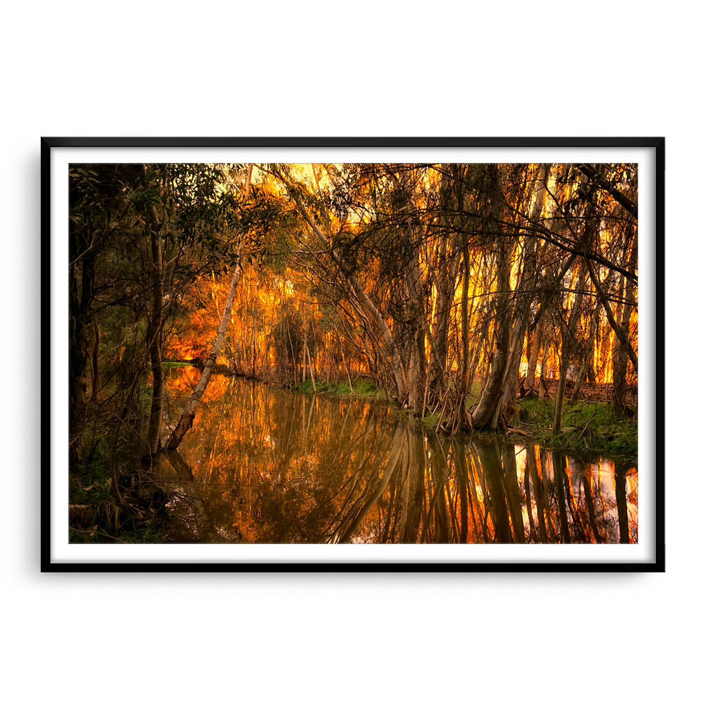 Beautiful golden light and reflections at Lake Monger, Perth in Western Australia framed in black