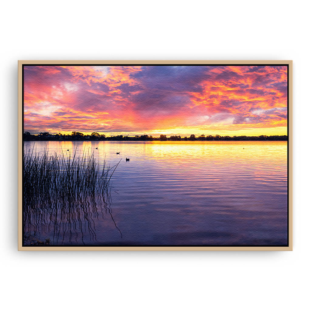 Sunset over Lake Monger in Perth, Western Australia framed canvas in raw oak