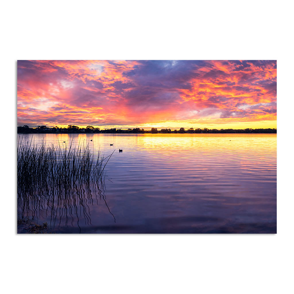 Sunset over Lake Monger in Perth, Western Australia