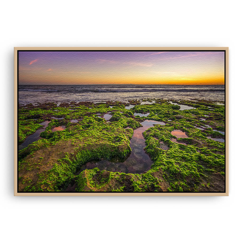 Sunset at North Beach in Perth, Western Australia framed canvas in raw oak