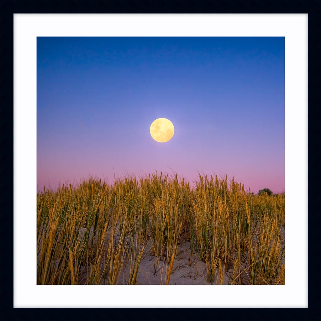 Moon rising over the sand dunes of Mullaloo Beach on New Years Eve in Perth, Western Australia framed in black