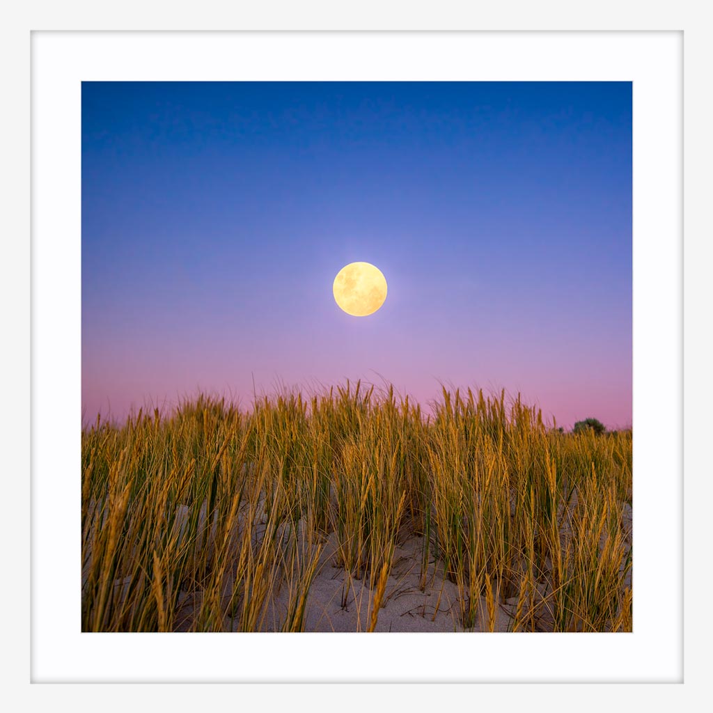 Moon rising over the sand dunes of Mullaloo Beach on New Years Eve in Perth, Western Australia framed in white