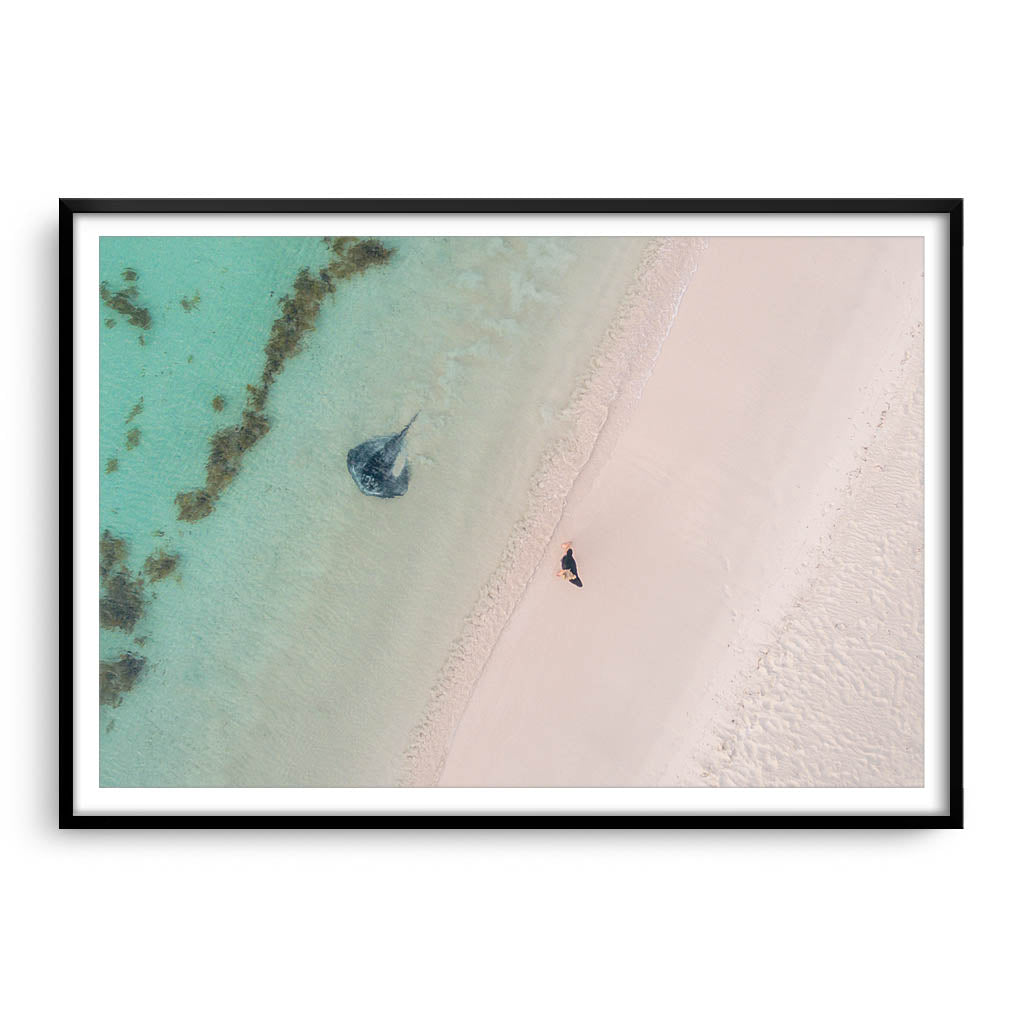 Aerial view of stingray swimming in the shallow waters of Sandy Cape, Western Australia framed in black
