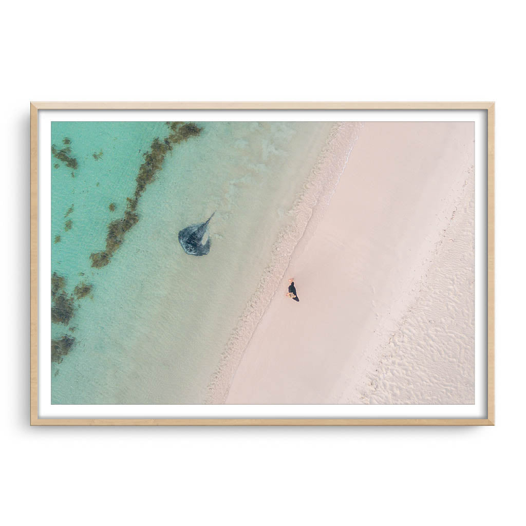 Aerial view of stingray swimming in the shallow waters of Sandy Cape, Western Australia framed in raw oak