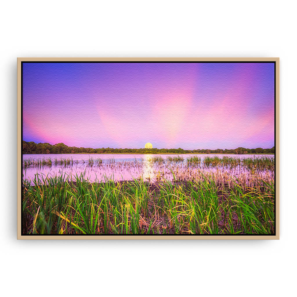 Moon rising over Lake Gwelup in Perth, Western Australia framed canvas in raw oak