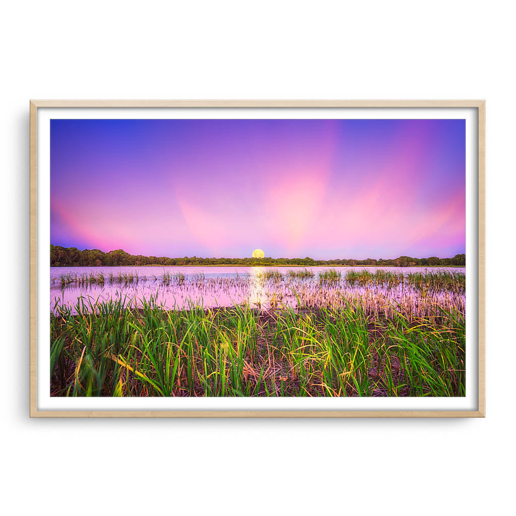 Moon rising over Lake Gwelup in Perth, Western Australia framed in raw oak