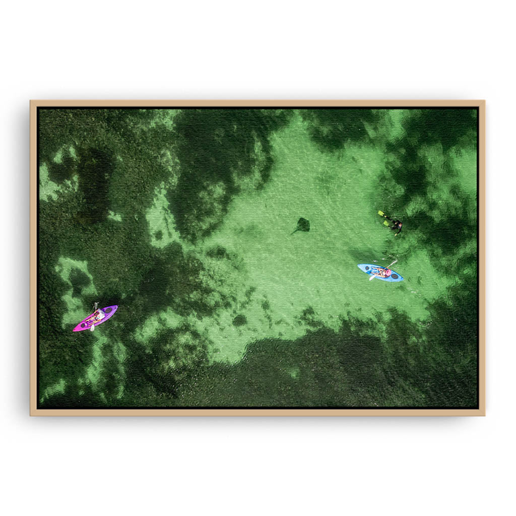 Aerial view of kayaks and stingray at Sandy Cape in Western Australia framed canvas in raw oak