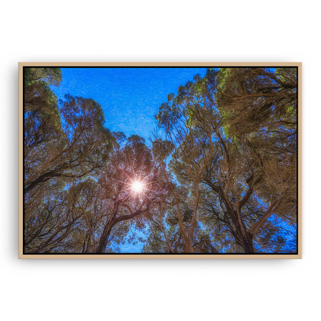 Sun breaks through the trees in Southwest framed canvas in raw oak
