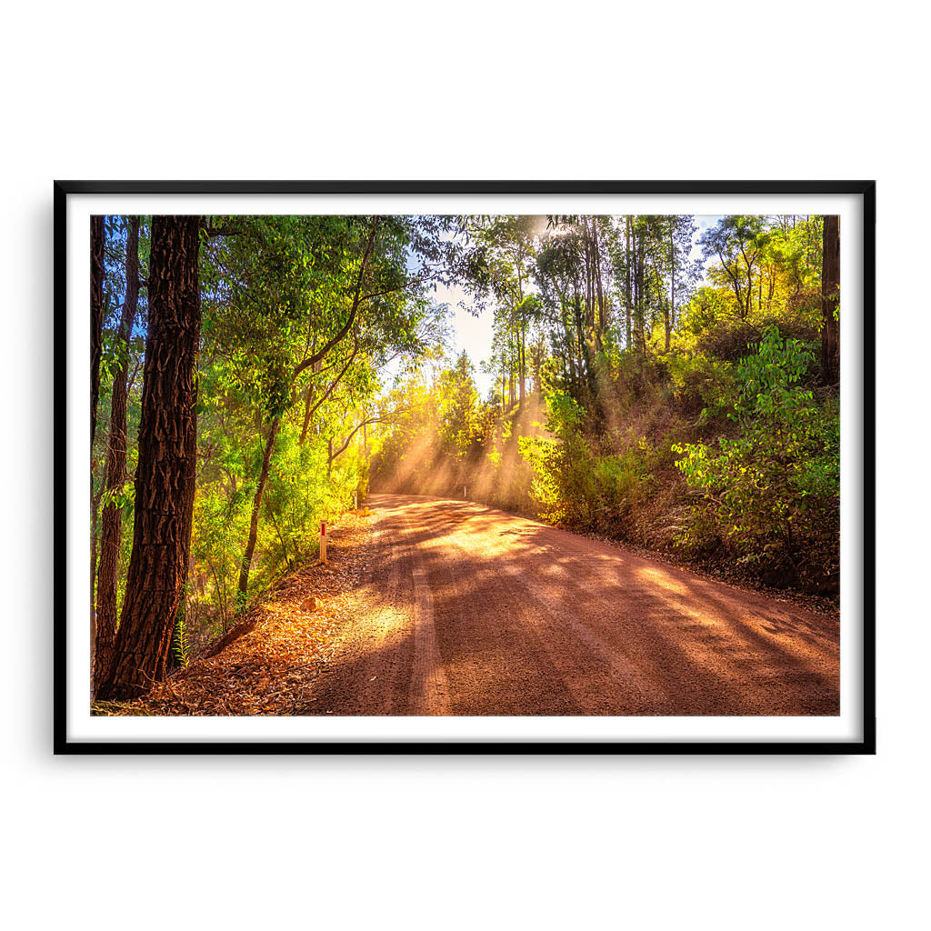 Sunset rays in the forest of Dwellingup, Western Australia